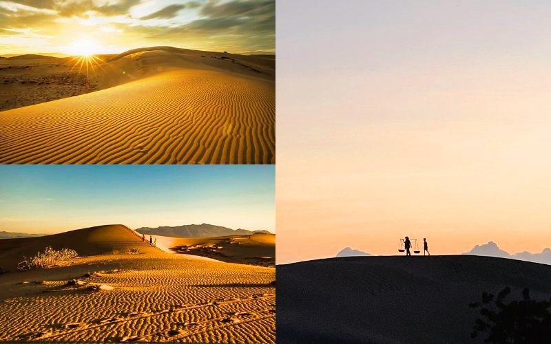 Bắt trọn những khoảnh khắc đẹp nhất trong ngày 